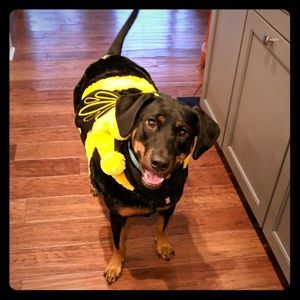 Meet your Posher, Venessa